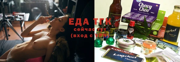 спиды Горняк