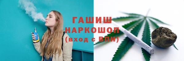 спиды Горняк