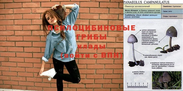 спиды Горняк