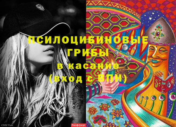 спиды Горняк