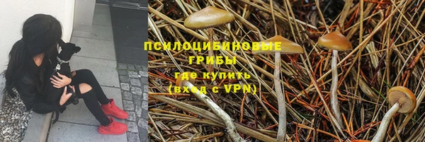 сатива Горно-Алтайск