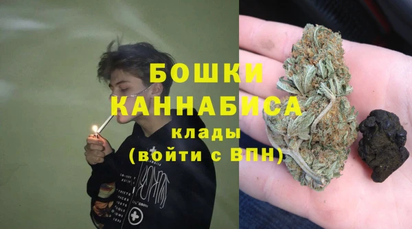 сатива Горно-Алтайск