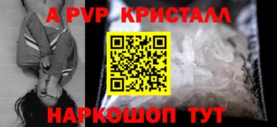 шишки Заволжье