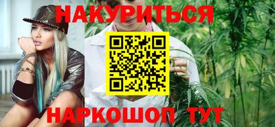 шишки Заволжье