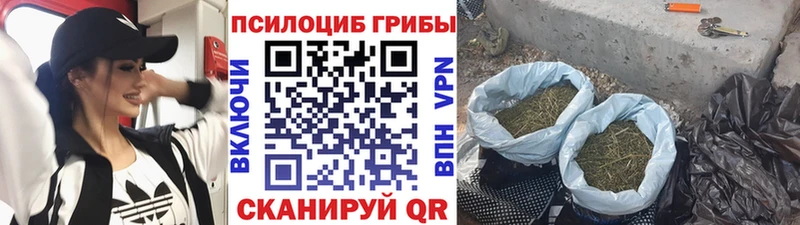 дарнет шоп  Хасавюрт  Галлюциногенные грибы Magic Shrooms 